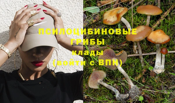 дмт Алексеевка