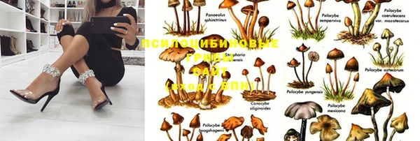 дмт Алексеевка